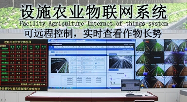 設施農業(yè)物聯網系統(tǒng)