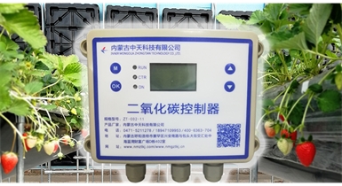 中國北方CO?新技術(shù)，將促進農(nóng)作物光合作用和光合產(chǎn)物的生成